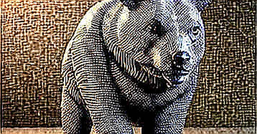 The Altman Briefing: Political Capital Meets Regulatory Friction in Worldcoin’s Narrative Play