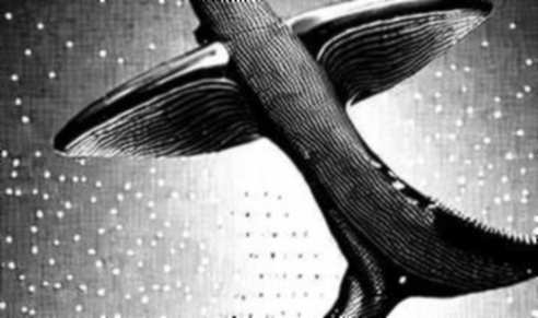 The Strait of Hormuz Toll: Why Crypto’s Geopolitical Coming-of-Age Is a Liquidity Trap The Strait of Hormuz Toll: Why Crypto’s Geopolitical Coming-of-Age Is a Liquidity Trap