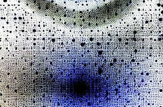 The AI Verdict on Cardano vs Pi Network: Structural Integrity Decides Fate