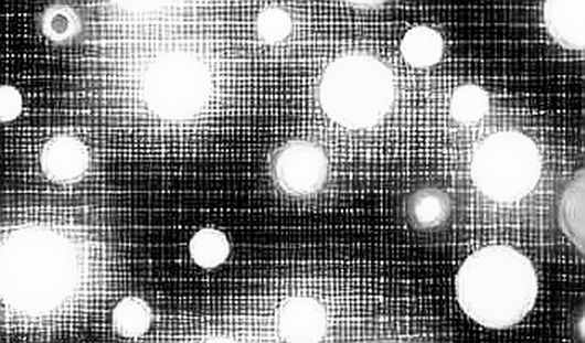The Blob Saturation Myth: Why the Post-Dencun Panic Is Manufactured Fear